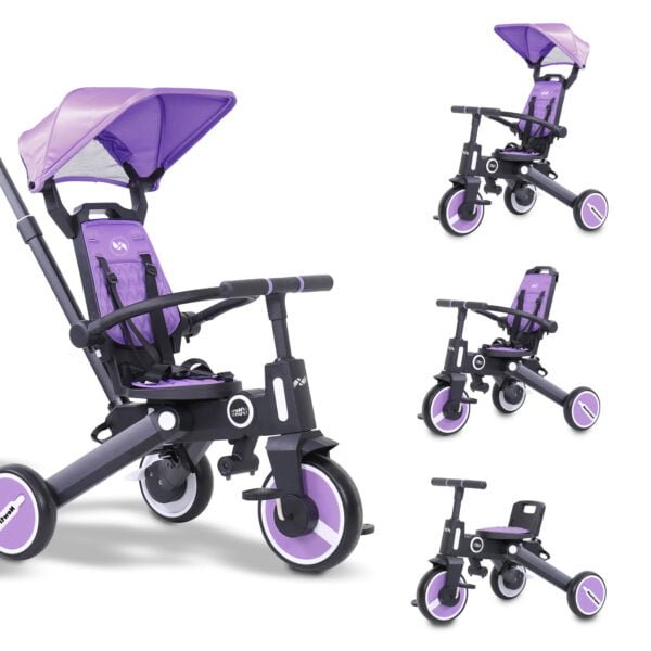 Violet 5